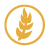 wheat